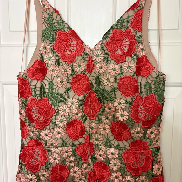 Xscape (Macy’s) Blush Dress with Red and Green Floral Crochet Embroidery - Picture 8 of 9